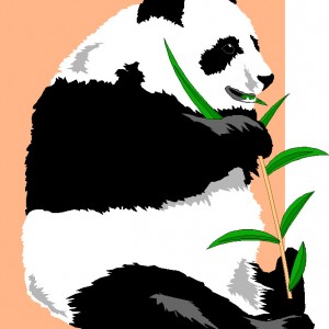 oso_panda